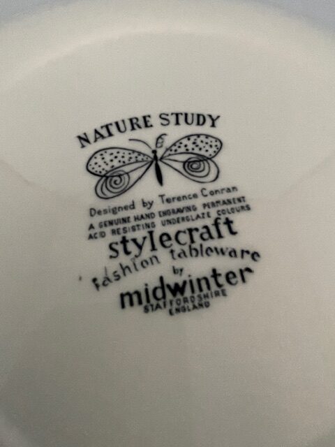 Midwinter Nature Study Plate - Image 4